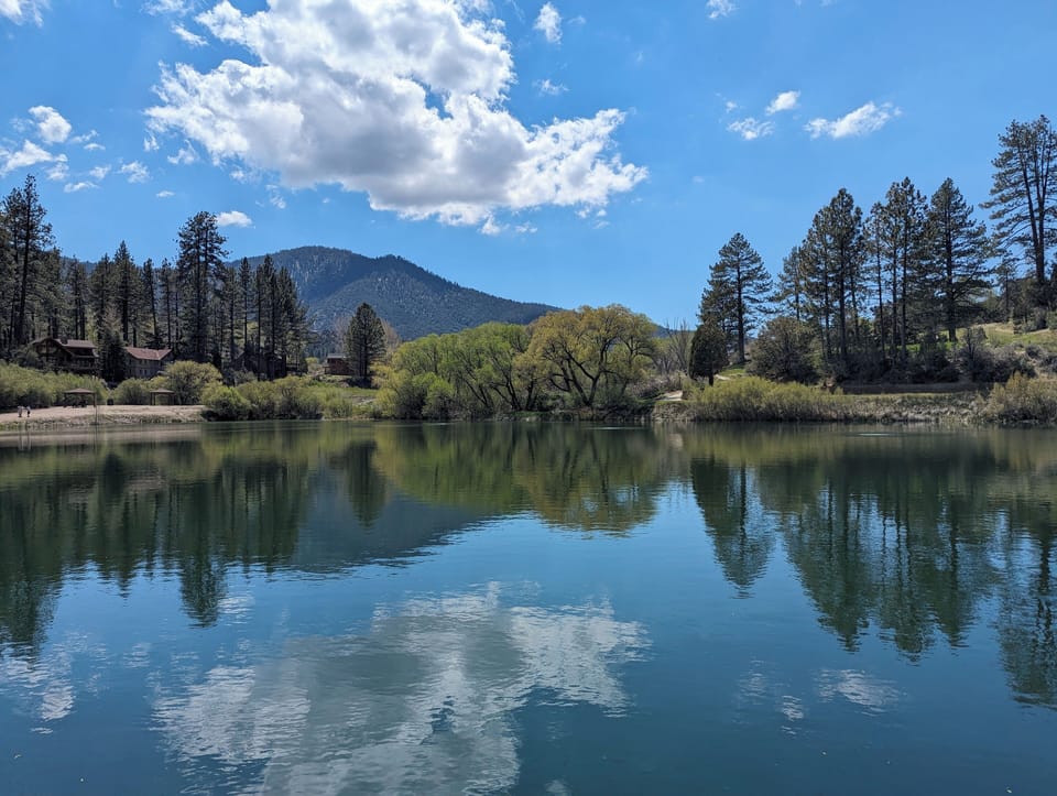 Fern's Lake