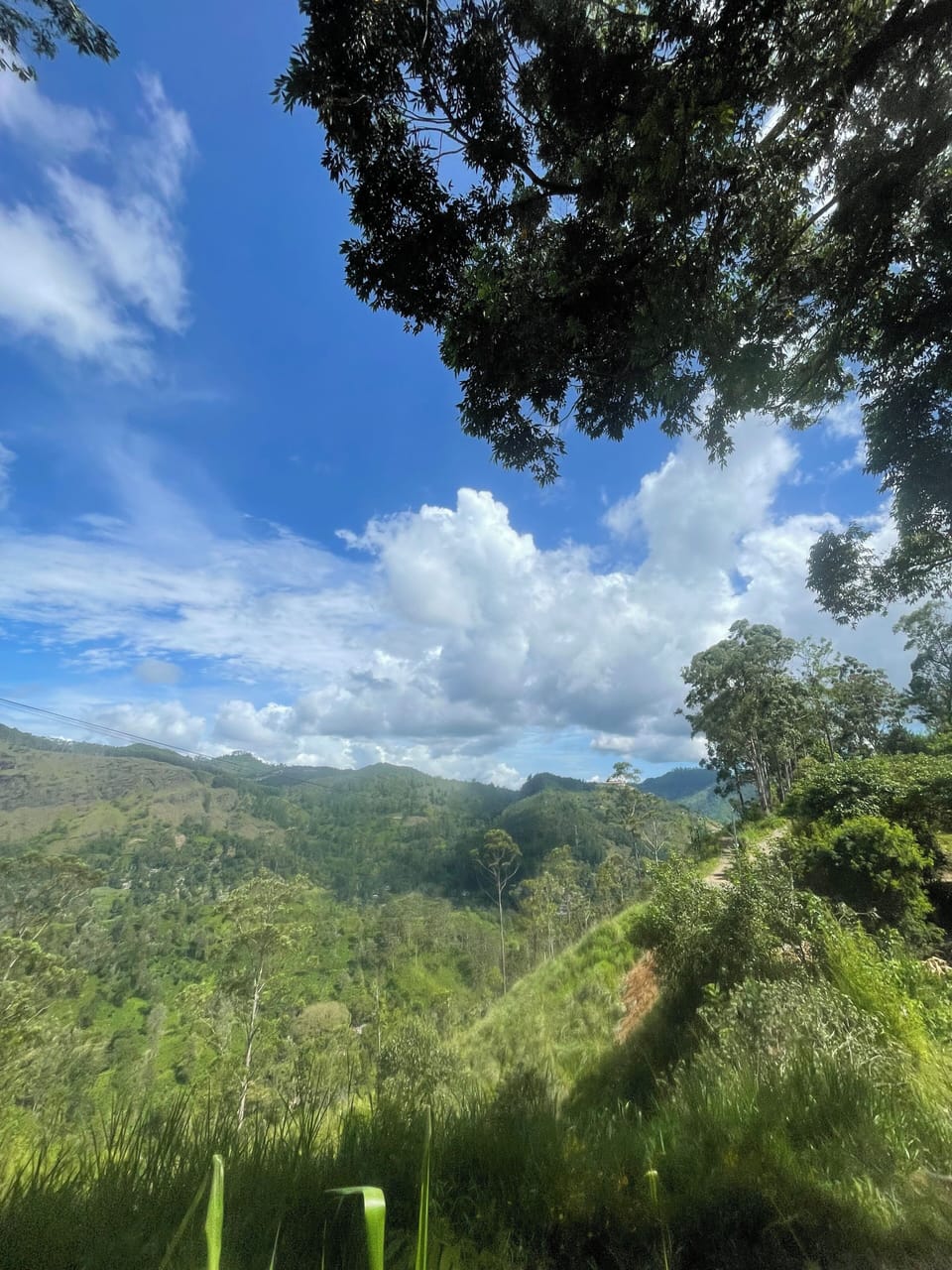 Mountain view