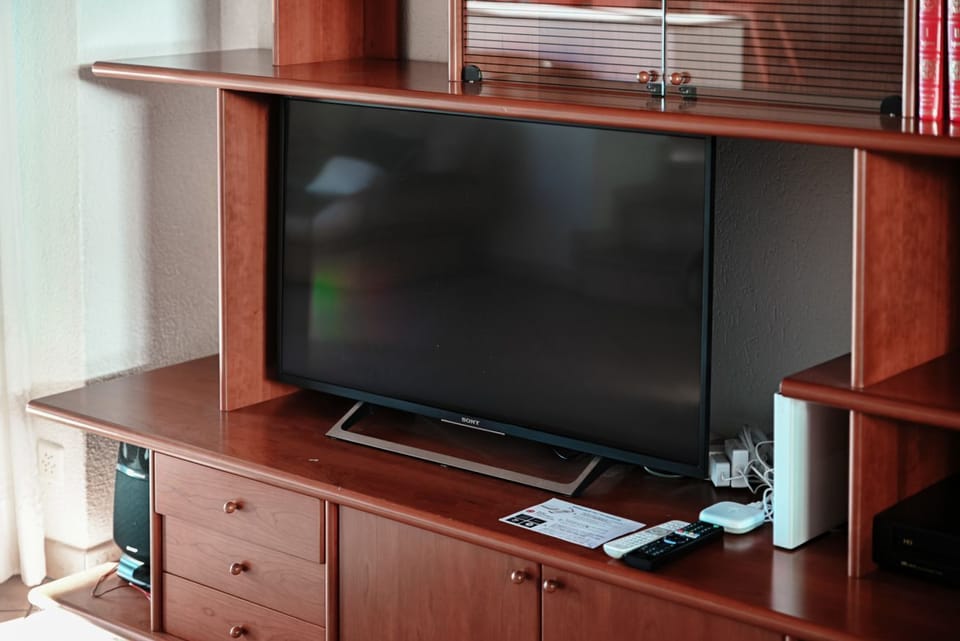 Television