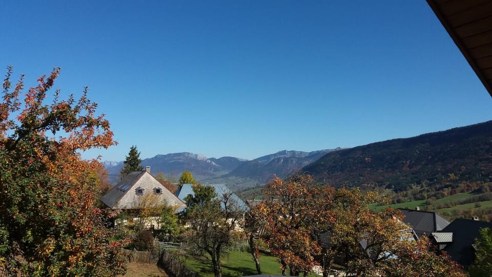 View from property