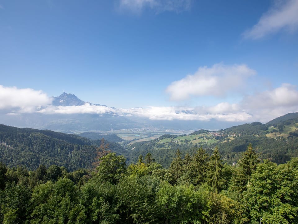 View