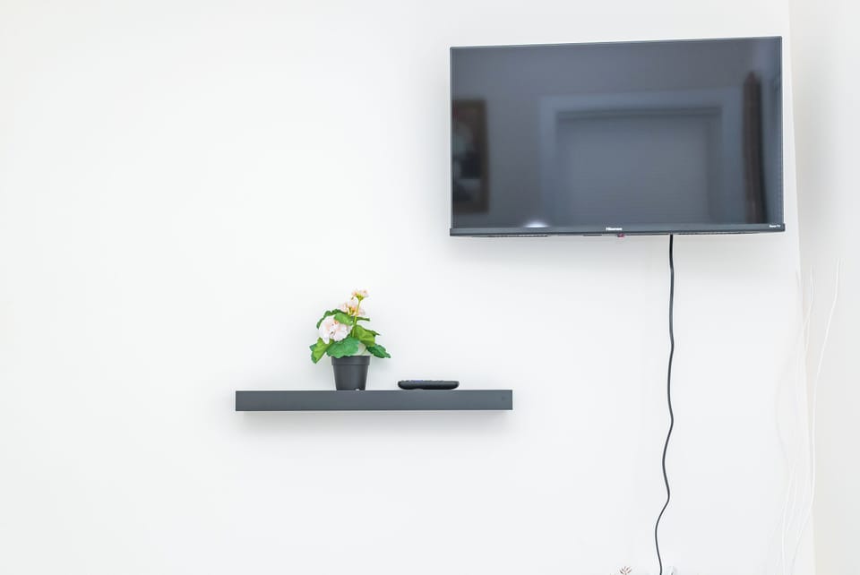 Television
