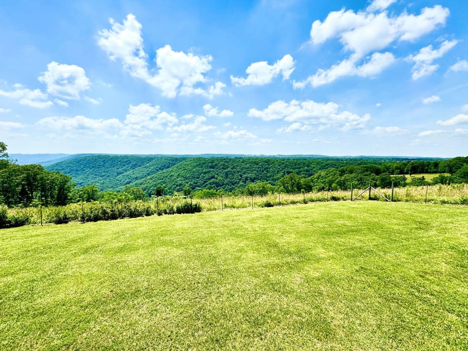 View from the cabin