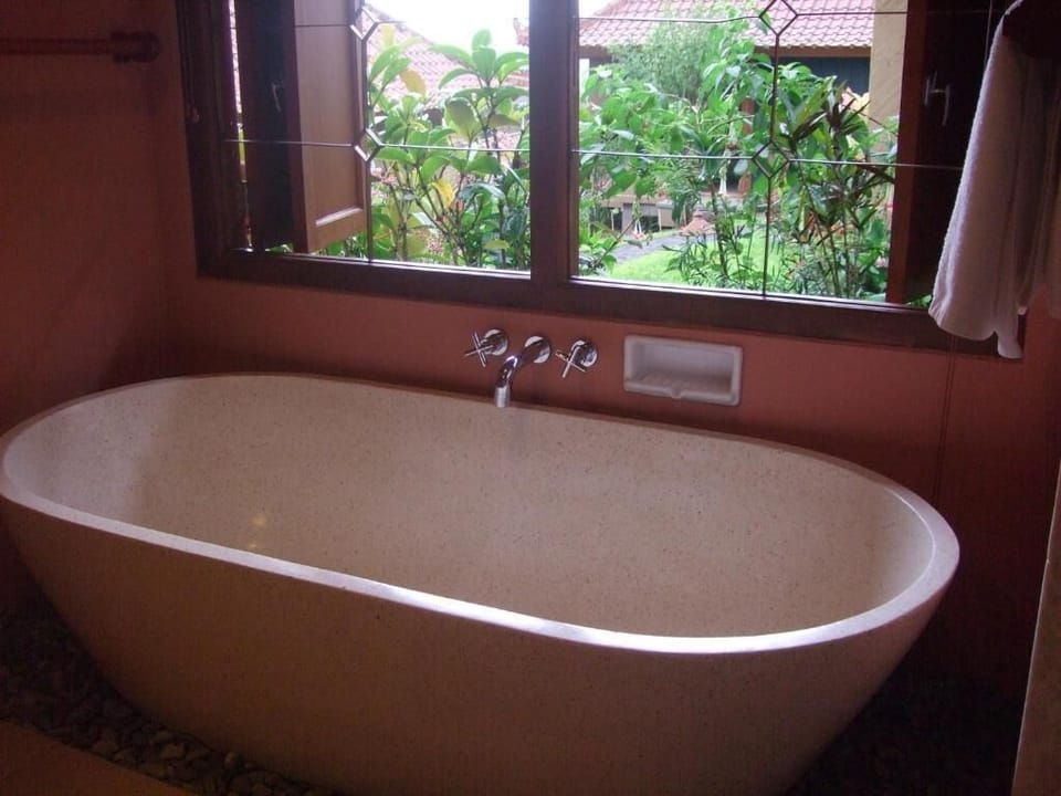 Separate tub and shower, hair dryer, bidet, towels