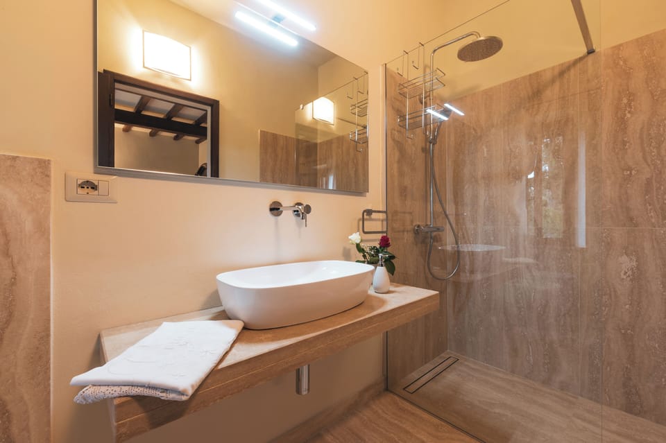 Hair dryer, bidet, towels, soap