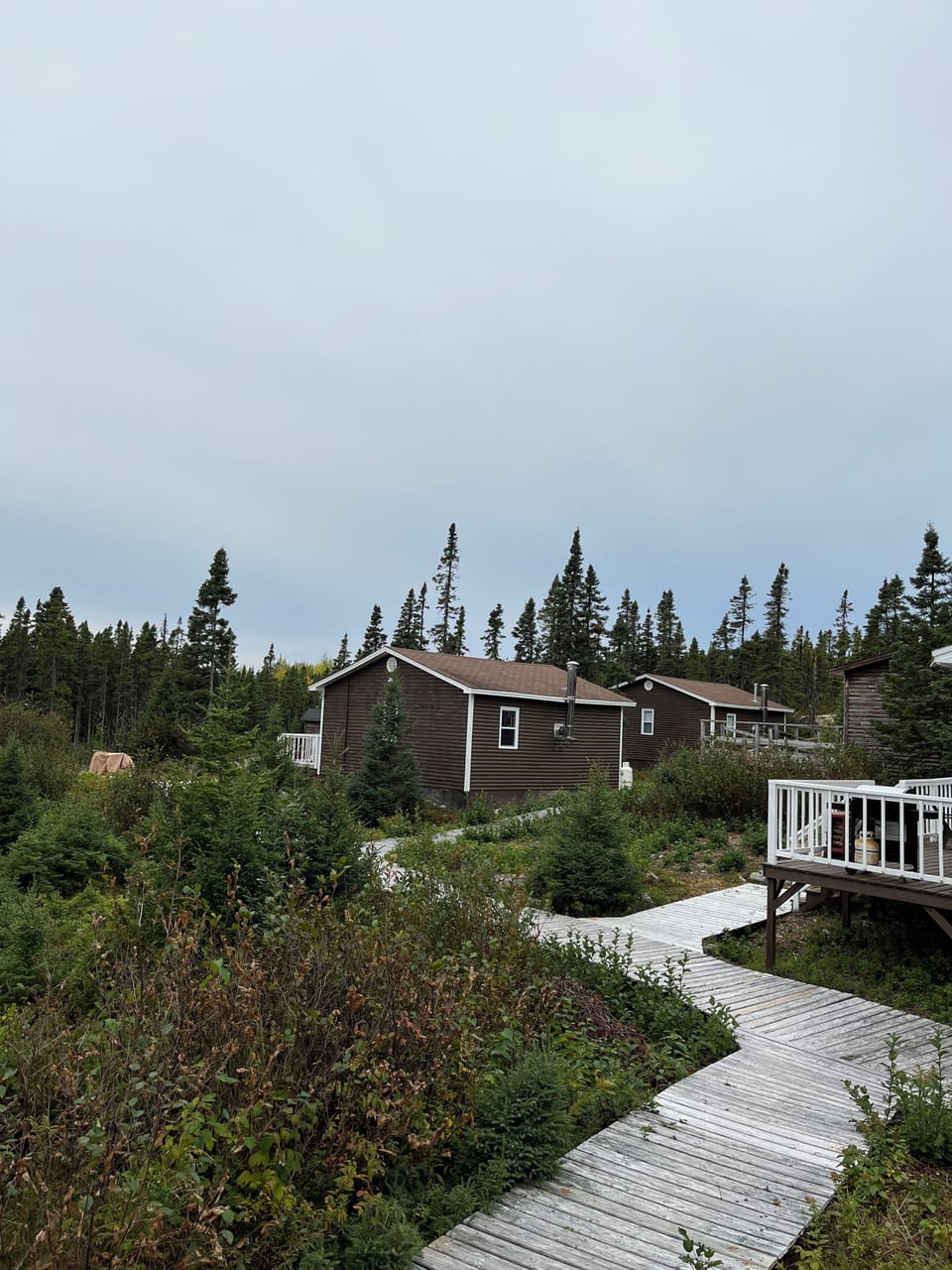 IMG 0459