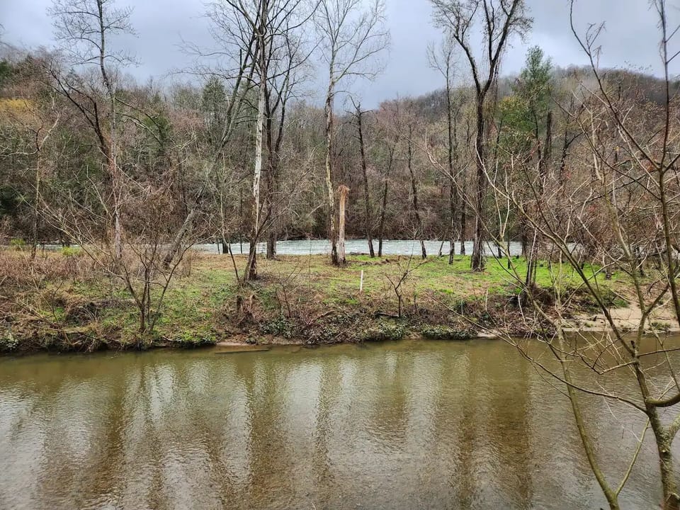 view from back porch