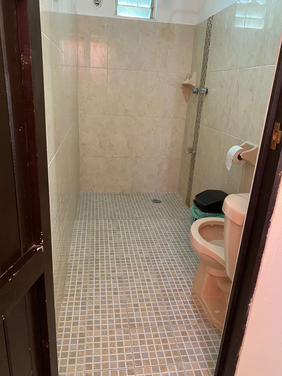Shower, towels, soap, shampoo