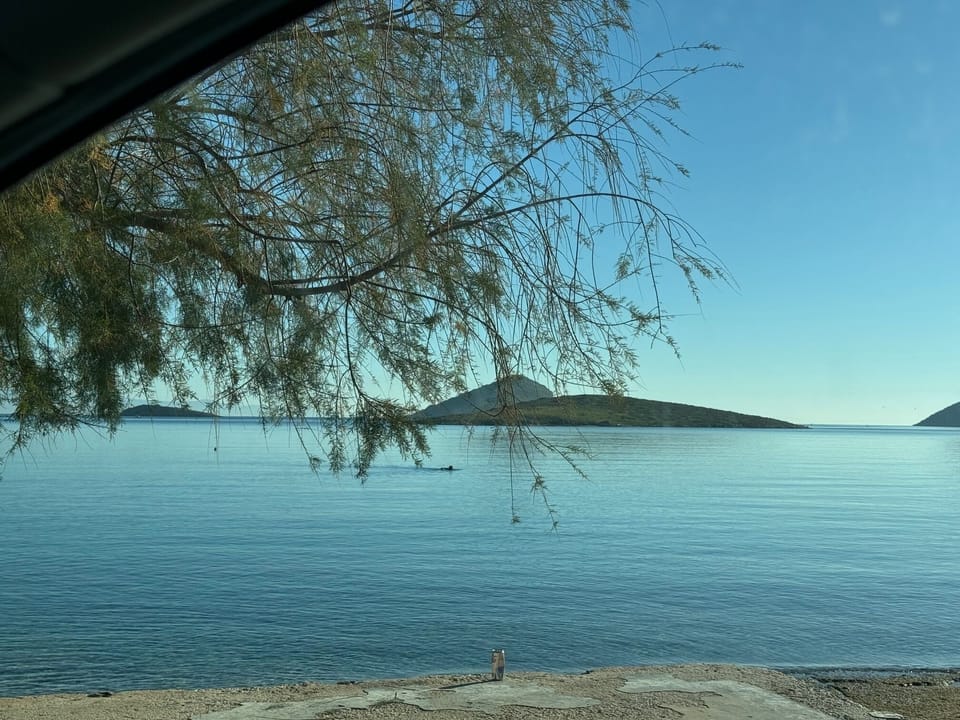 5 minutes walk from the house, beach with nearby cafeterias and taverns.