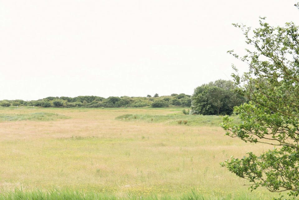 Apartment | View from property