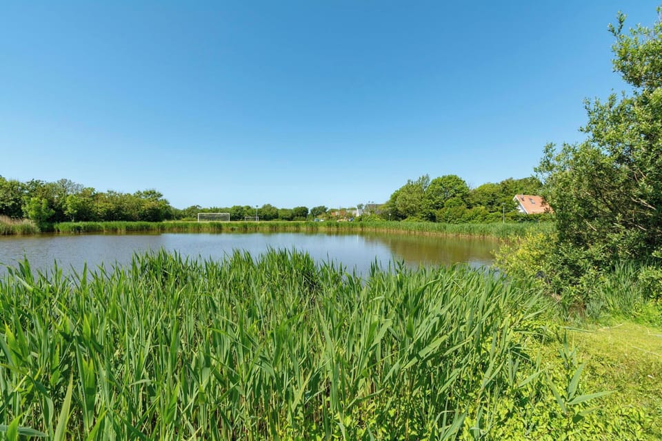 House | View from property