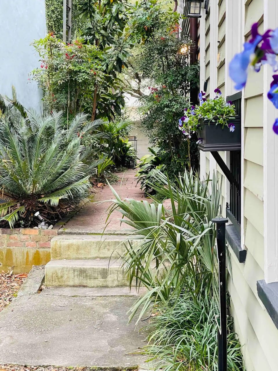 A lovely walkway beside the building leading to the street.
