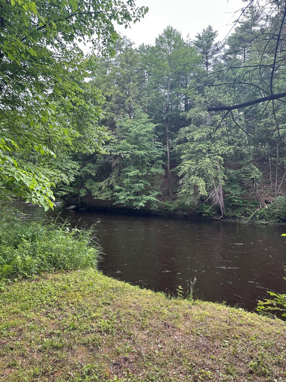 Fishing area