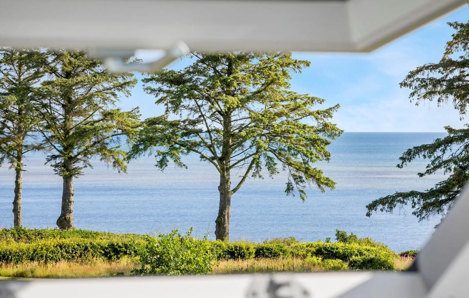 view-from-room