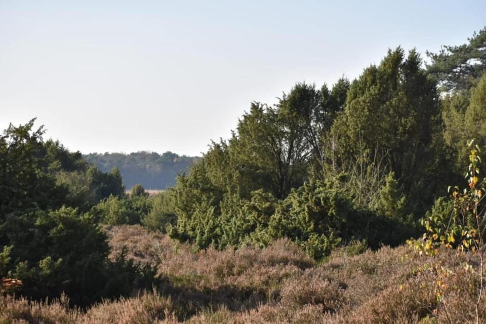 Region [summer] (>5 km)