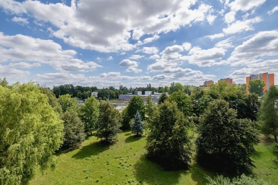 A scenic view of a green park with trees and a clear sky.