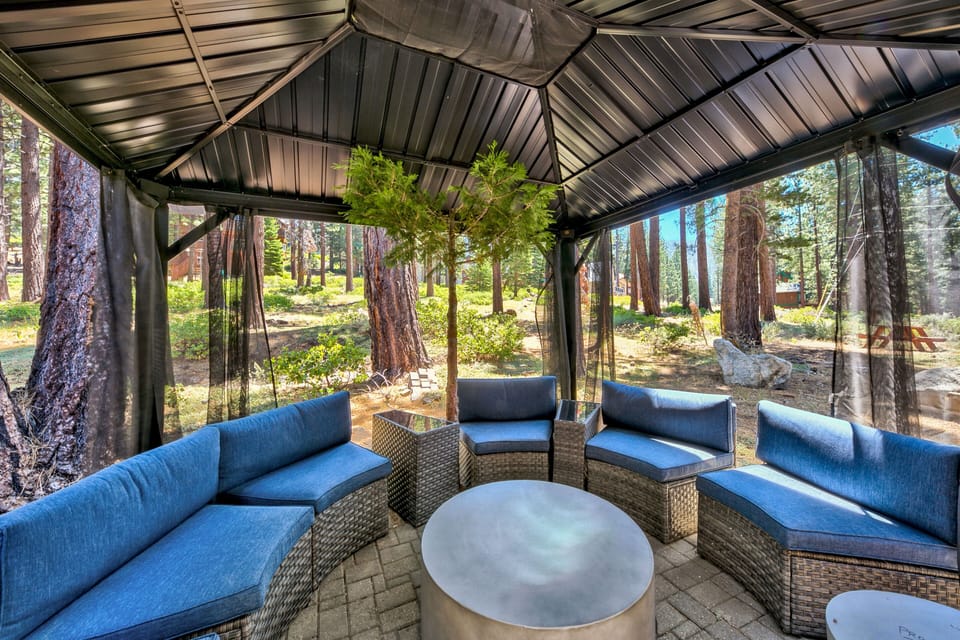Unwind on plush blue seating while towering pines frame your forest retreat through floor-to-ceiling windows.