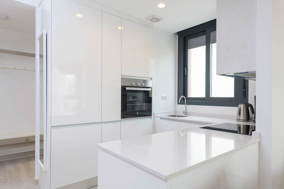Deluxe Apartment, City View | Private kitchen | Full-size fridge, microwave, oven, stovetop