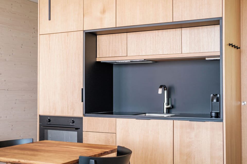 Full-size fridge, oven, stovetop, dishwasher