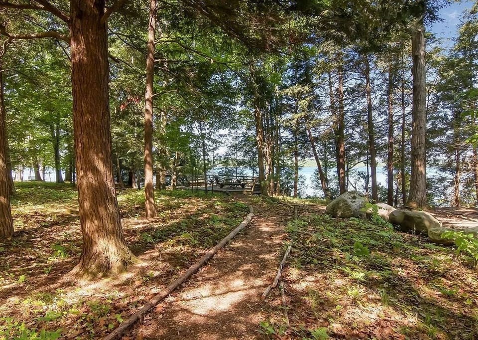 Path from the cottage to the deck