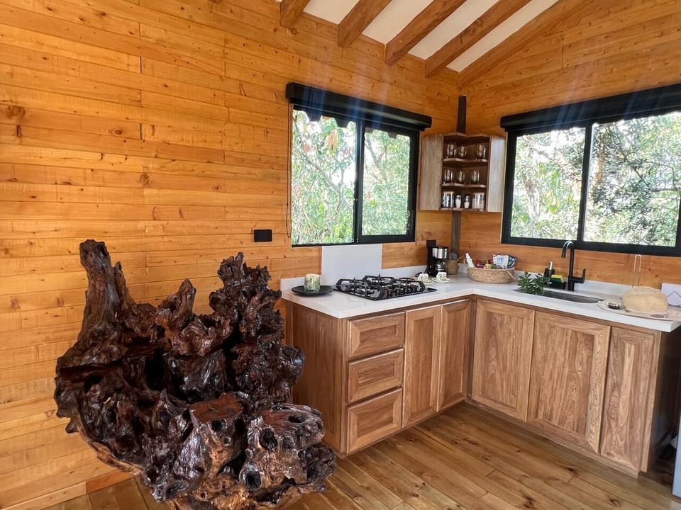 Comfort Cabin | Private kitchen | Full-size fridge, stovetop, dishwasher