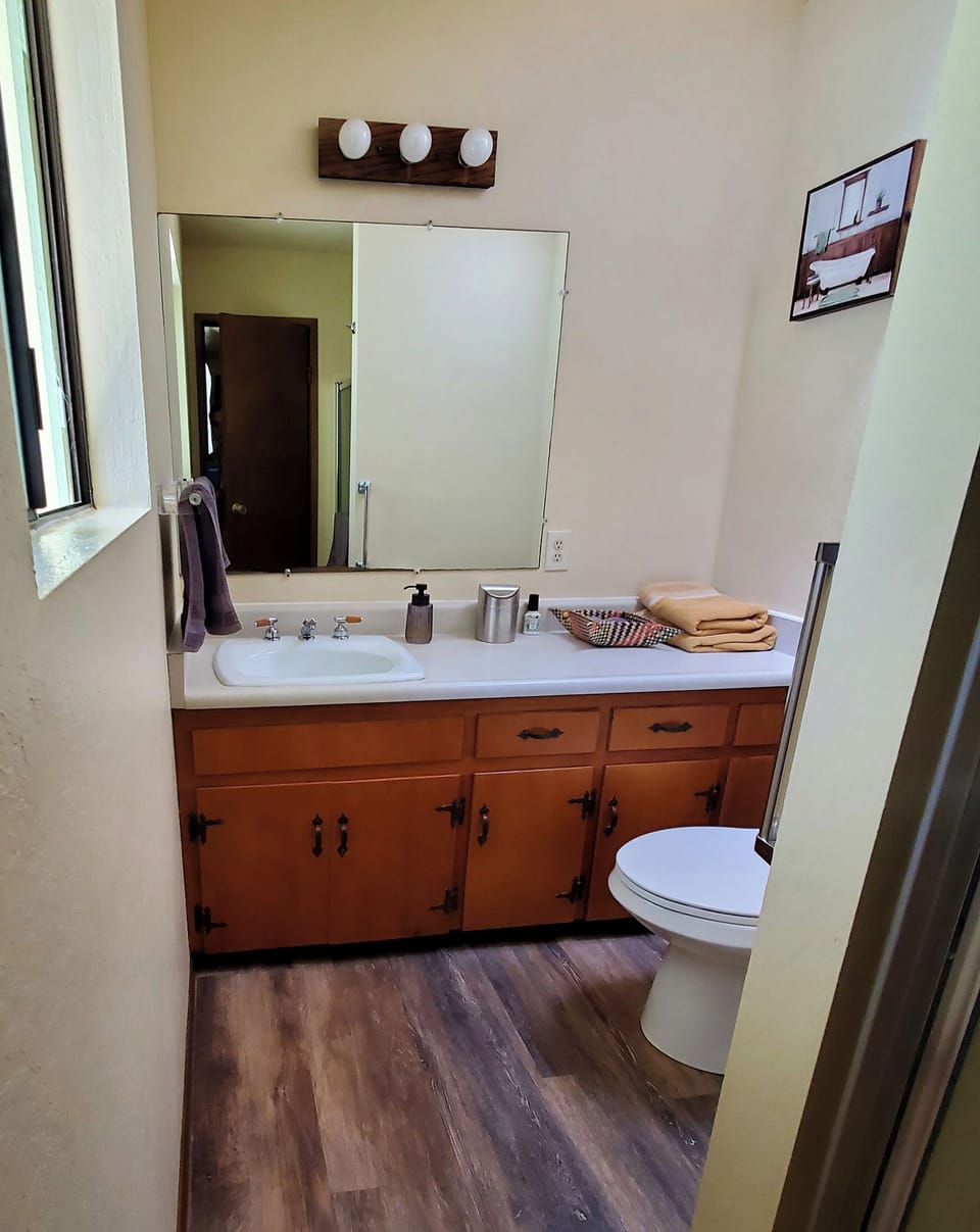 Bathroom in master bedroom 