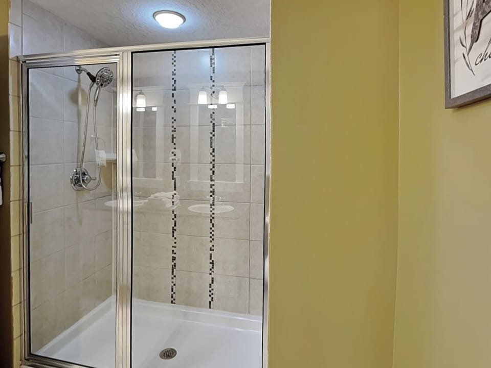 Primary Bathroom - Walk-in Shower