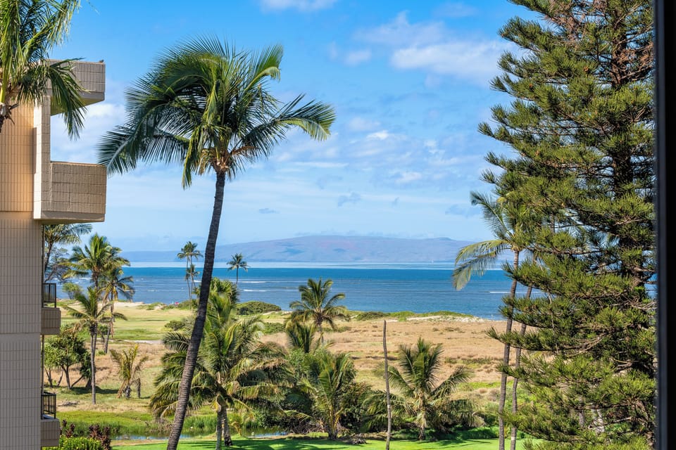 View from property