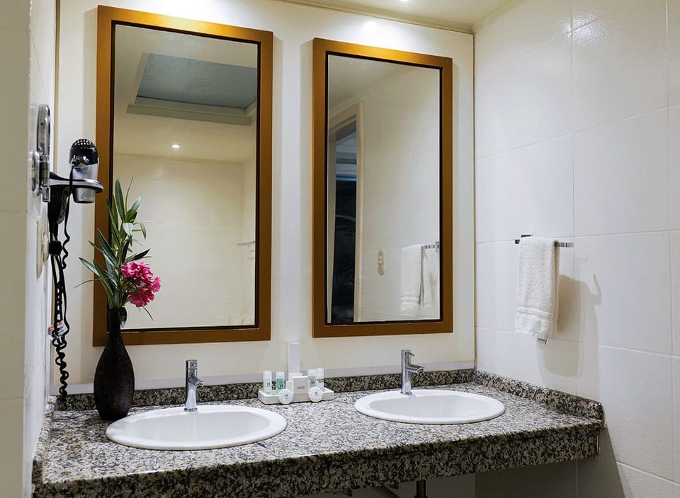 Separate tub and shower, hair dryer, bidet, towels