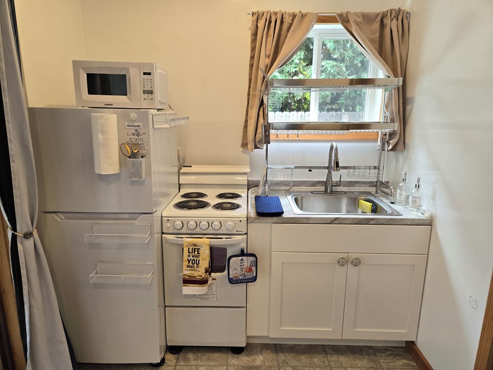 kitchen necessities including microwave