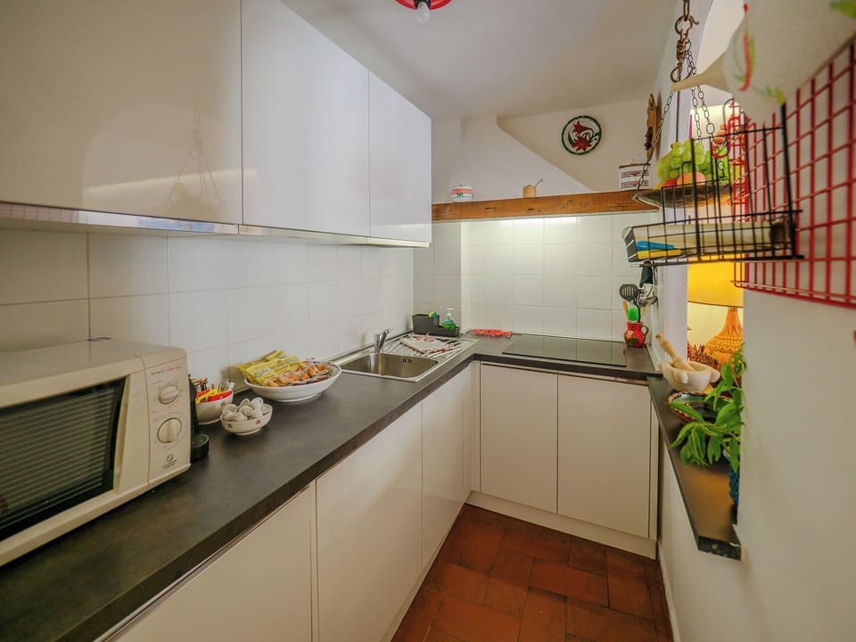 Apartment, 2 Bedrooms, Terrace | Private kitchen | Fridge, microwave, oven, stovetop