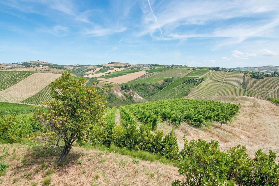 Surroundings [summer] (1-5 km)