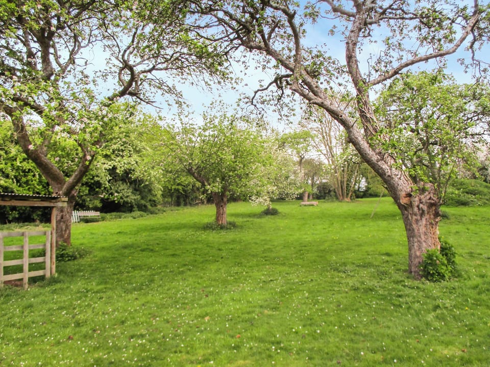 Garden | Bramley Orchard Lodge, Retford