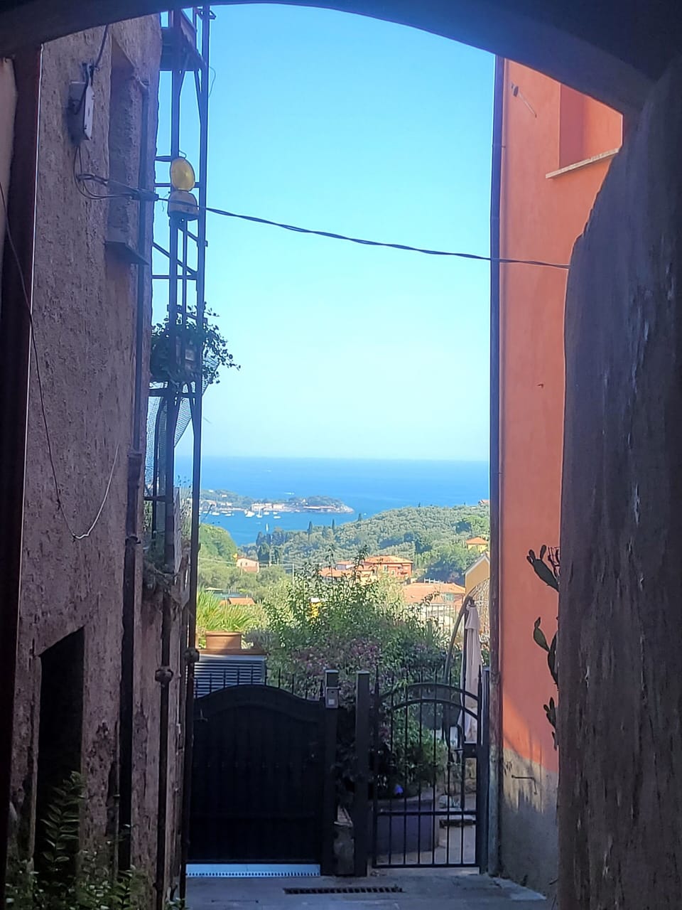 View from property