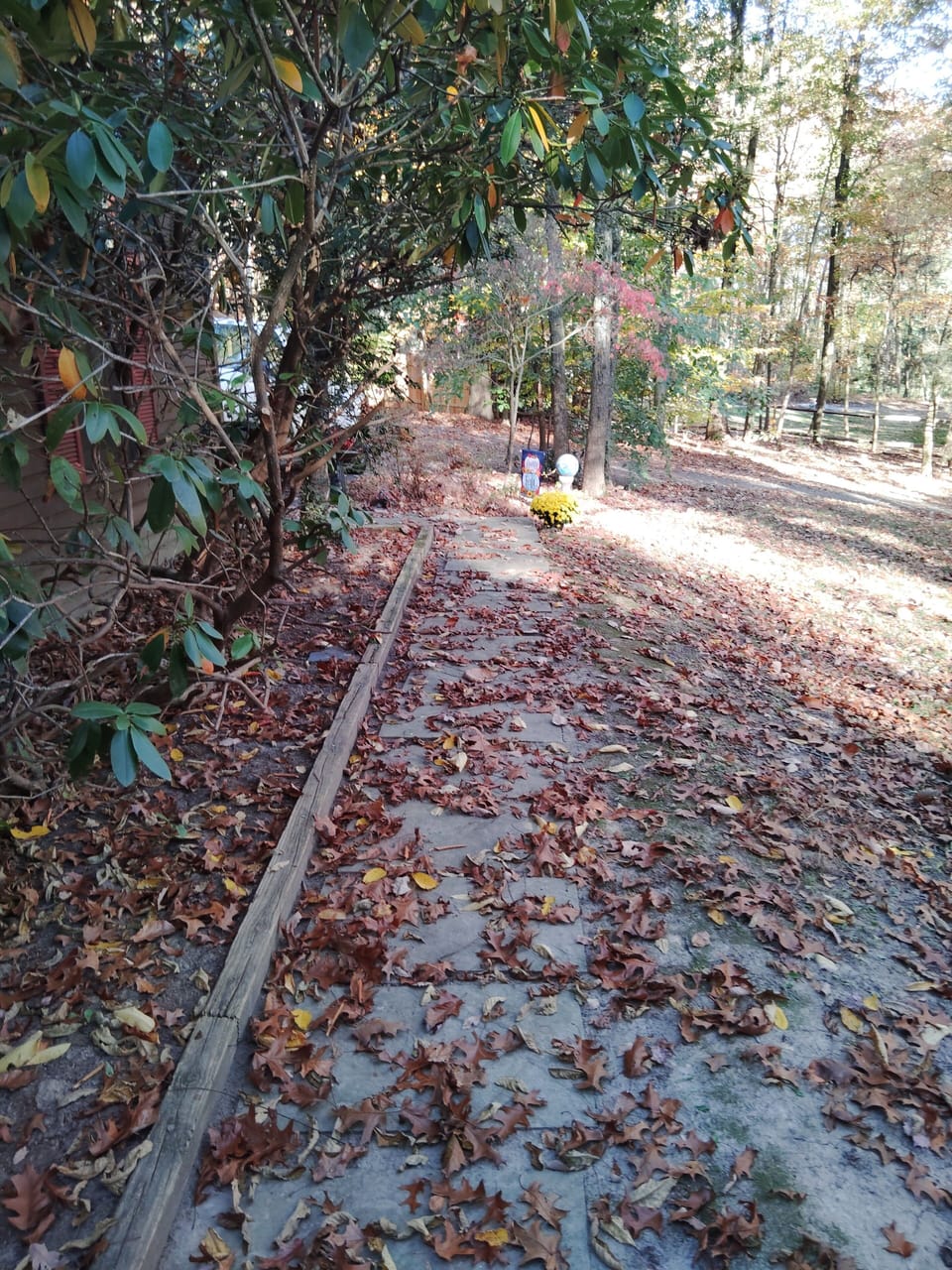 Property grounds