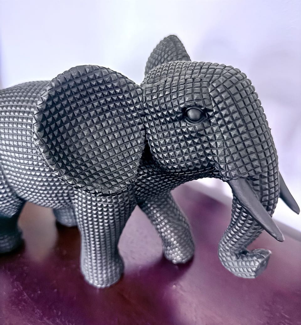 Want to save the elephants? Check out Tide for Tusks and see how you can help!