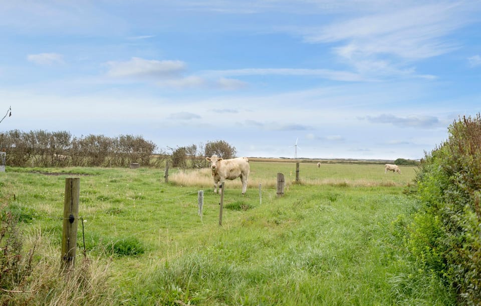 outside
