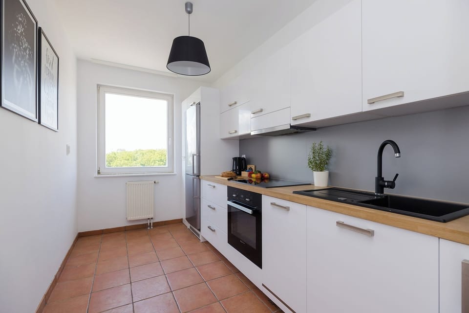 Full-size fridge, oven, stovetop, dishwasher