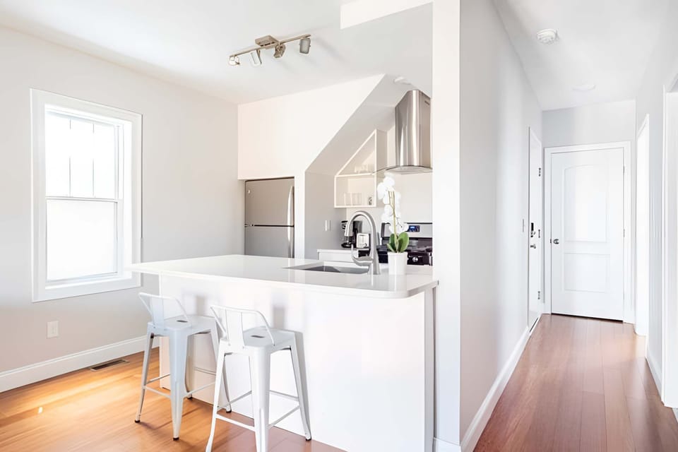 Bright, natural light shines throughout the entire apartment