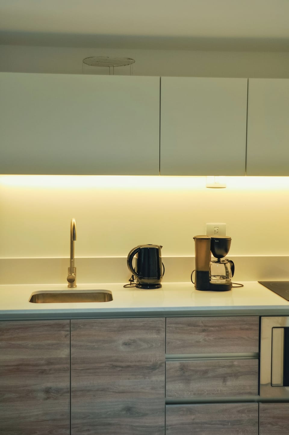 Deluxe Studio, Balcony, River View | Private kitchen | Full-size fridge, microwave, oven, stovetop
