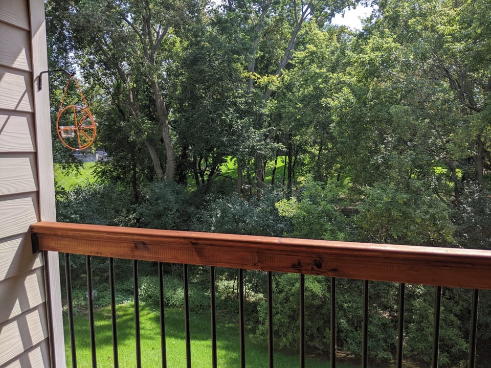 Back Yard from upper deck