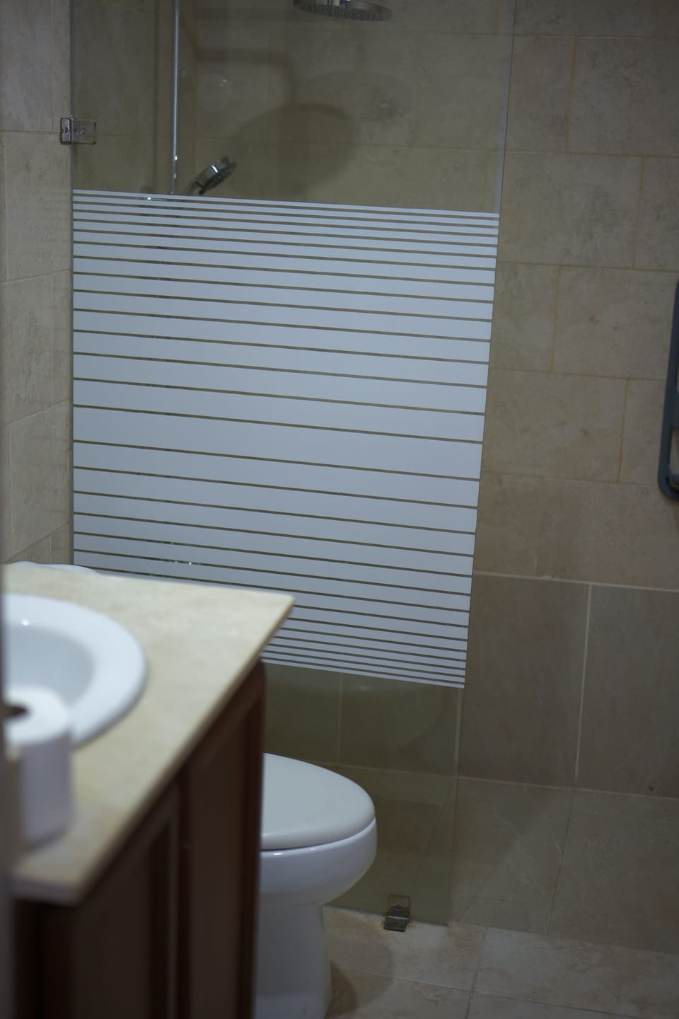 Deluxe Apartment | Bathroom | Shower, free toiletries, hair dryer, towels