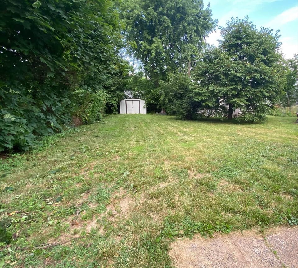 Backyard