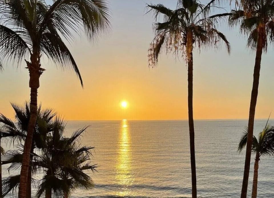 Typical Agave Sunrise
