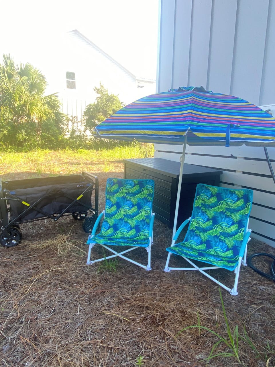 Beach Chair, Umbrella, and Beach Wagon
