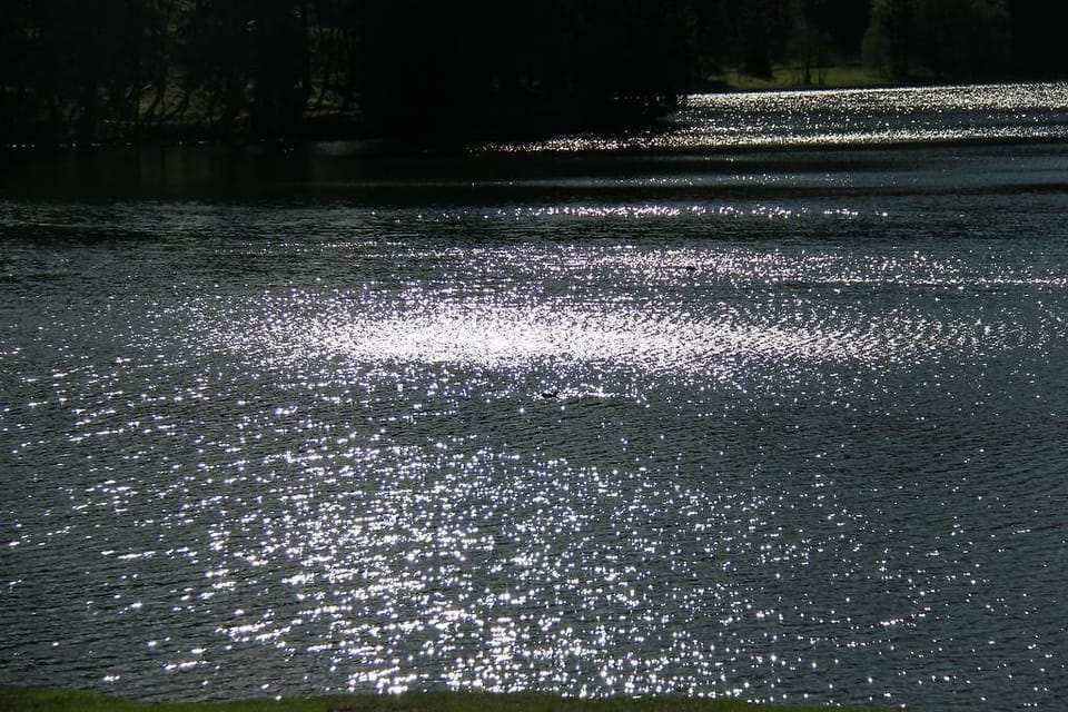 Hypo-allergenic bedding, individually decorated, individually furnished