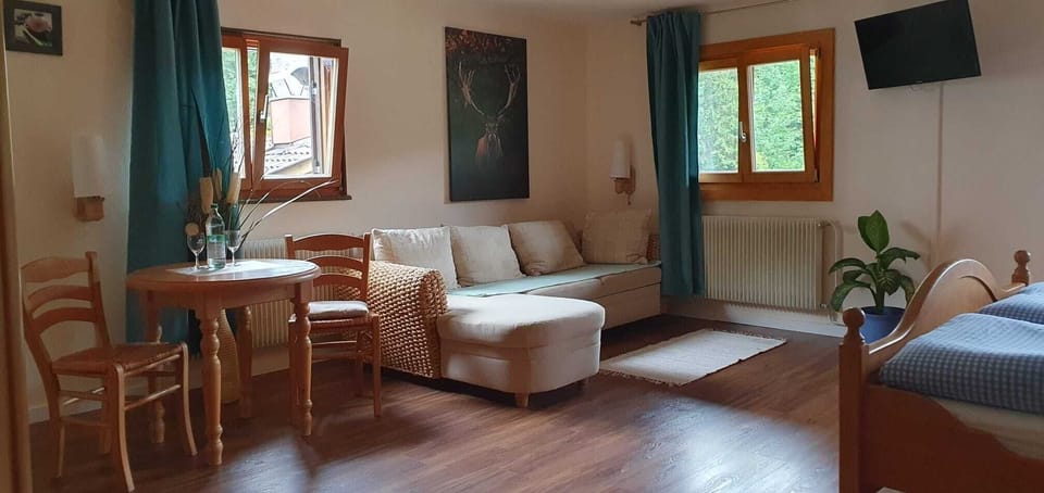 32-inch flat-screen TV with satellite channels