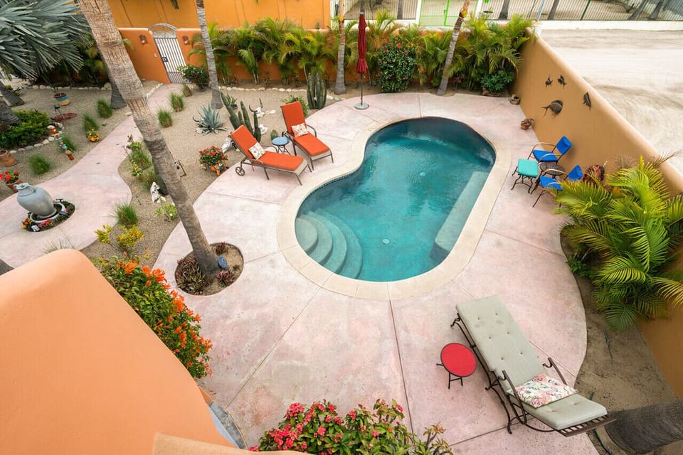 Looking from the roof top to the yard below