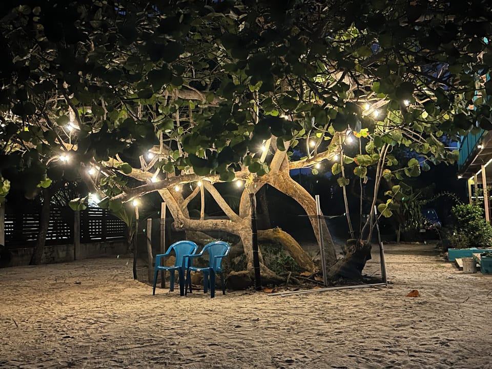 Fairy lights