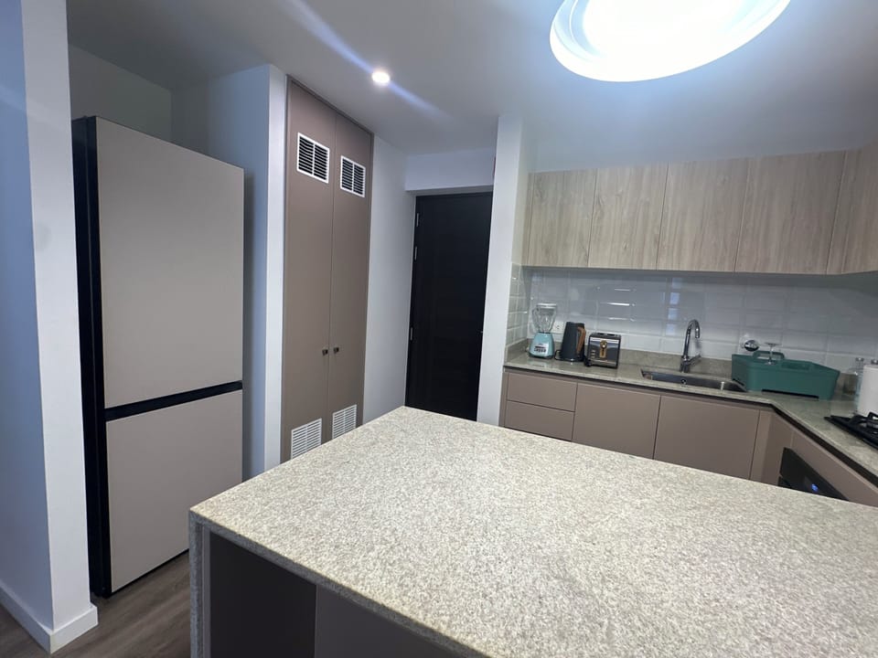 Business Apartment, Balcony | Private kitchen | Full-size fridge, microwave, oven, stovetop